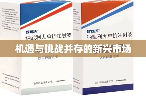 郑州机遇与挑战并存的新兴市场