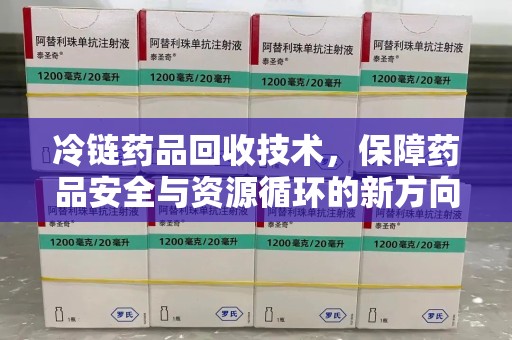 郑州冷链药品回收技术，保障药品安全与资源循环的新方向