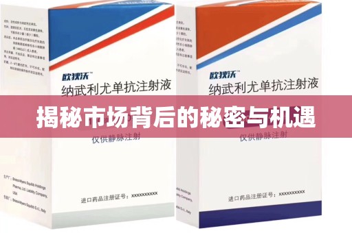 郑州揭秘市场背后的秘密与机遇