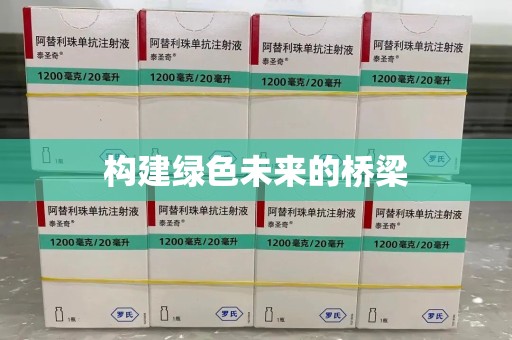 郑州构建绿色未来的桥梁