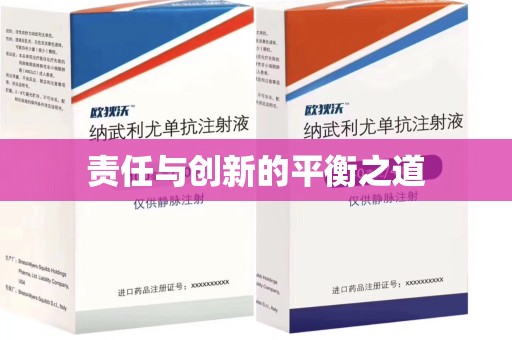 郑州责任与创新的平衡之道