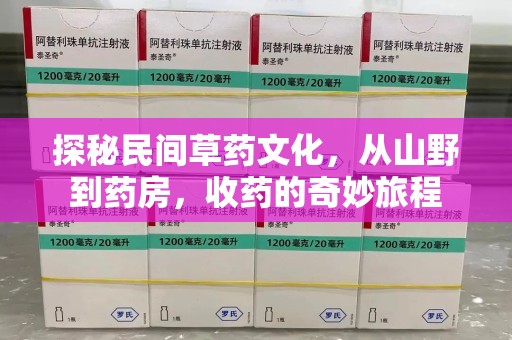 郑州探秘民间草药文化，从山野到药房，收药的奇妙旅程