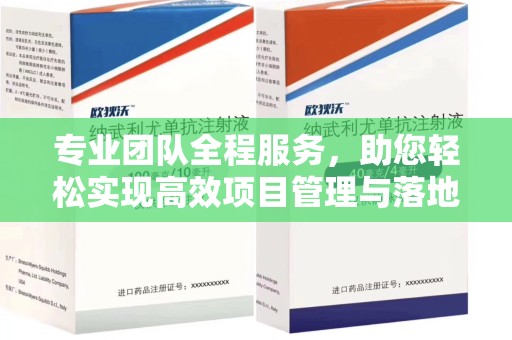 郑州专业团队全程服务，助您轻松实现高效项目管理与落地